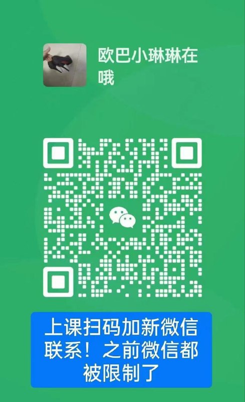 广州番禺小琳琳13310882389