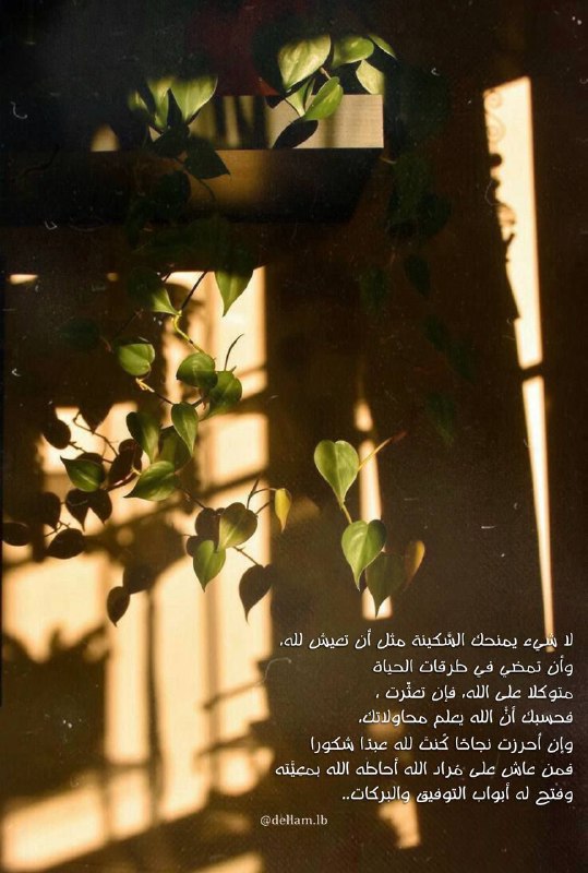 عشق مهدوي 🦋