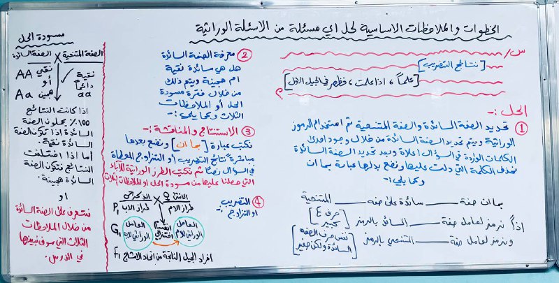 سبورة توضح الخطوات والملاحظات الاساسية لحل …