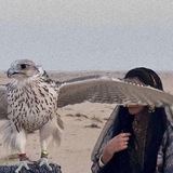 هاجِس