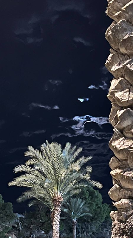 ﮼أ | القذافي 💎