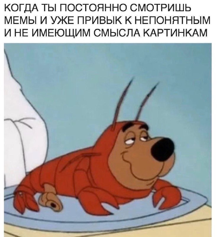 Анальные беруши