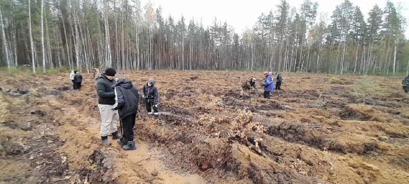 А у нас в Нижнем...