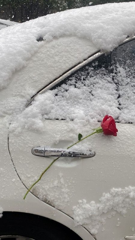 ***❄️******🥀***