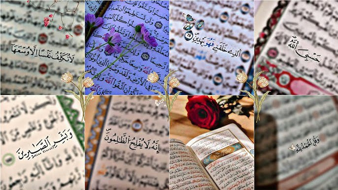 [**القُرآن حَظ عظيم ***?******?***