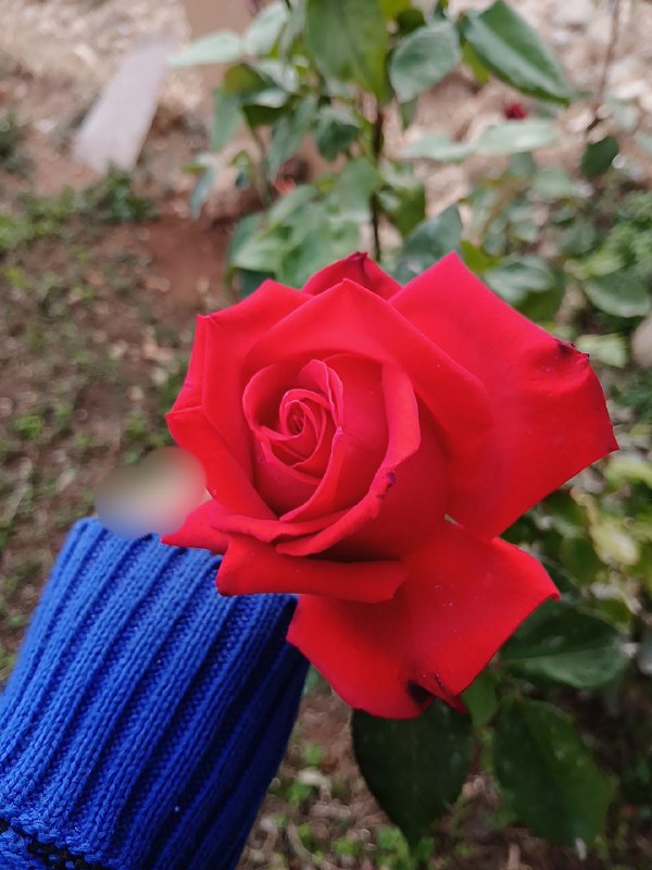 ..