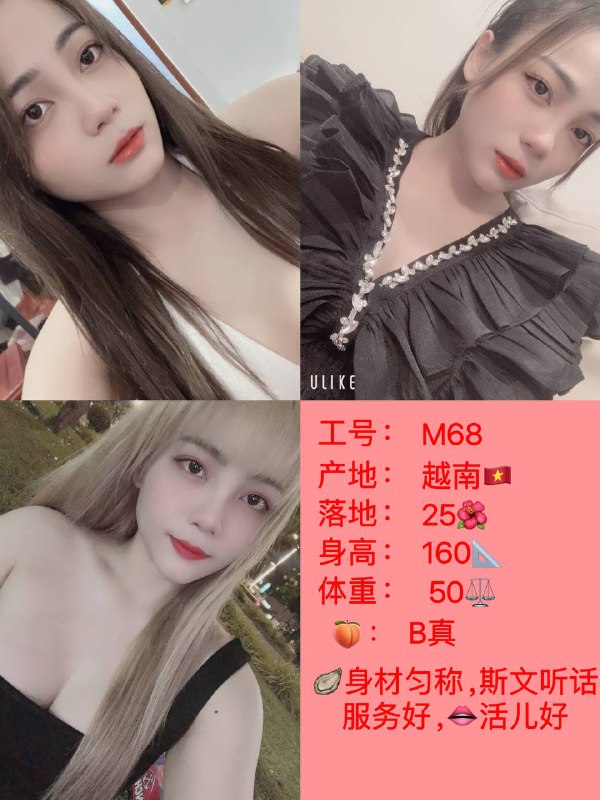 金边会所❤️向先生❤️出勤表