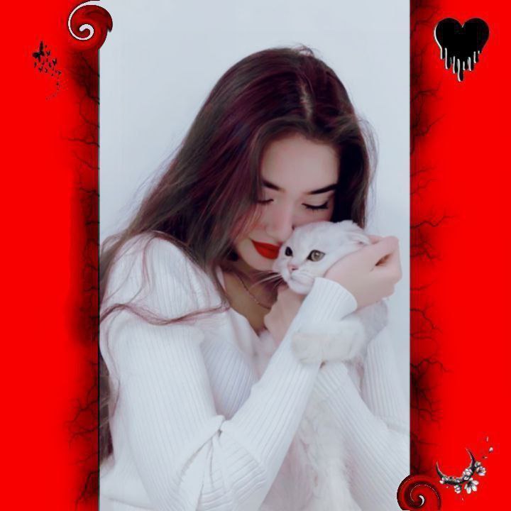 تحـب المايــحبك حيــل فشــله***?******❕***.