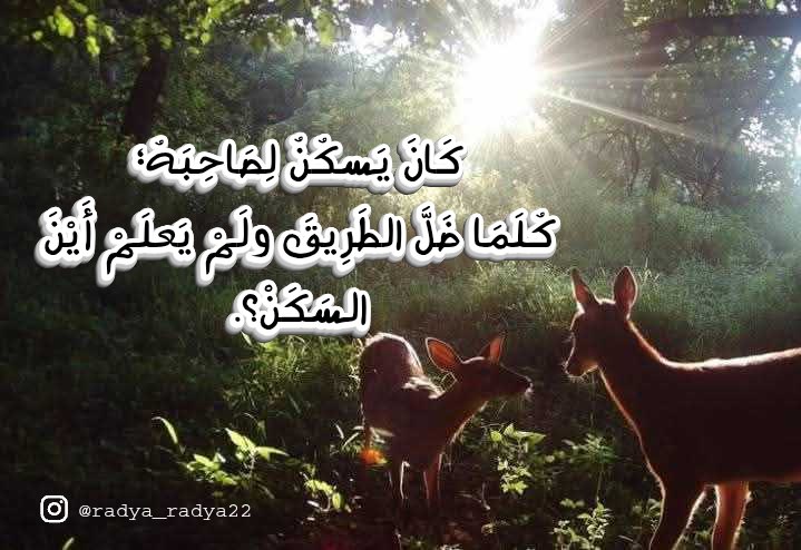 كان يسكنُ لصاحبه: