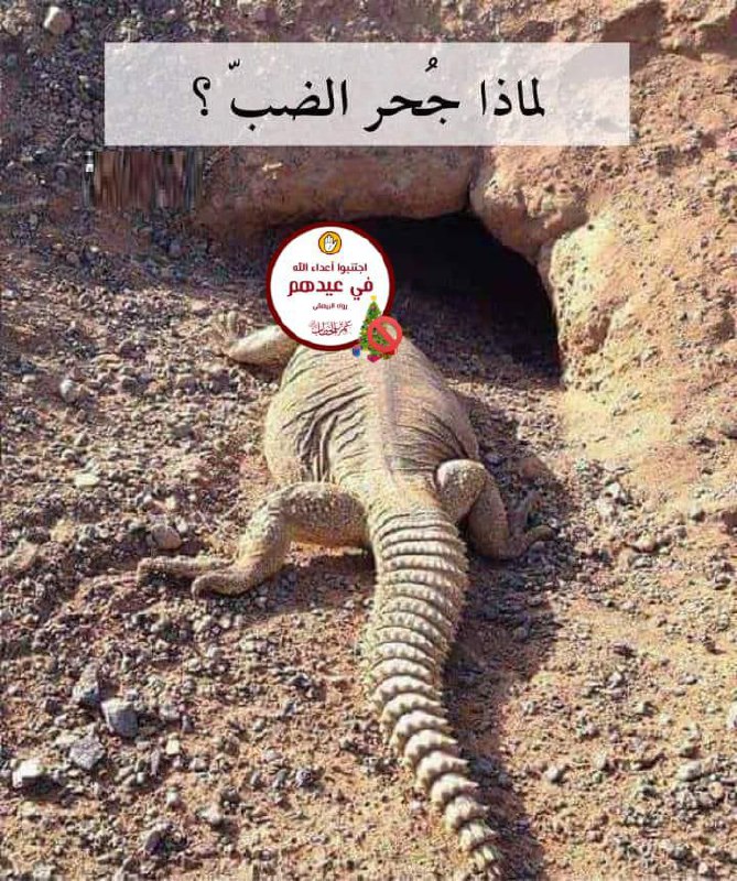 ****📌***احتفلوا بِ ” الكريسماس ” فاحتفل …
