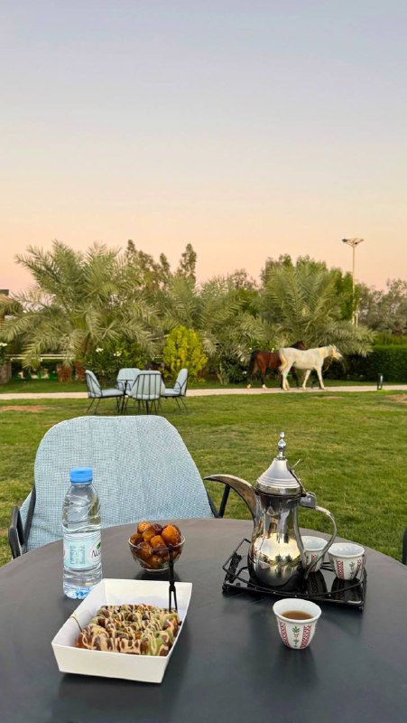 عبدالرزاق المسعودي | 🐎