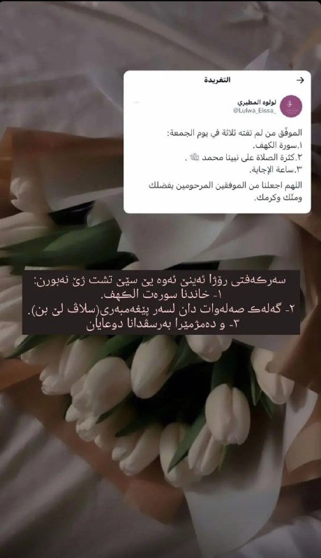 حَسينه محمد