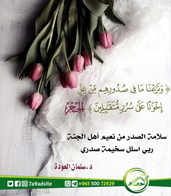 قناة | د عبدالله سابق