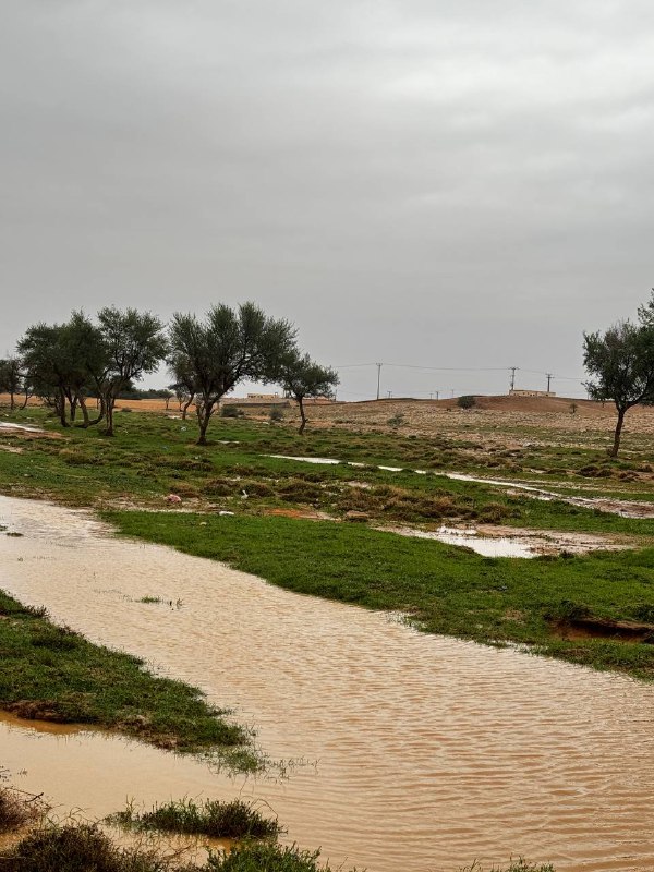 الدحمي 🌿🌧⛺️📷