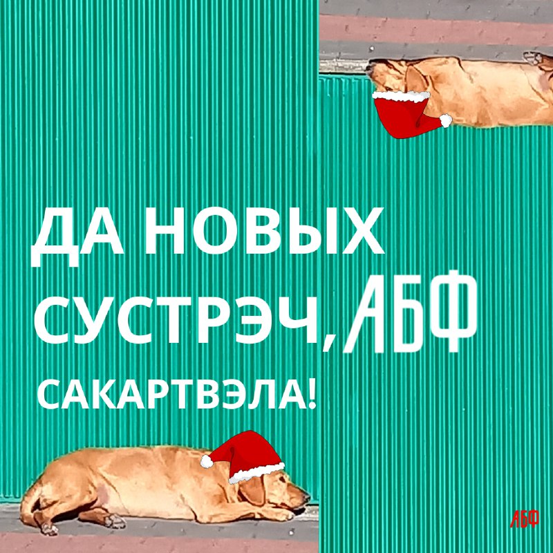 ***🎄*** Дорогие участни\_цы и лидер\_ки шведских …