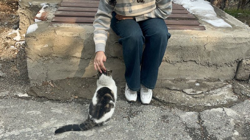 آبیِ آسمون؛