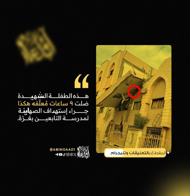 أيُّ حجم لثأرٍ هذا الذي صار