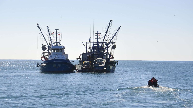 Abkhazia sets 2024-2025 fishing quotas, allowing …