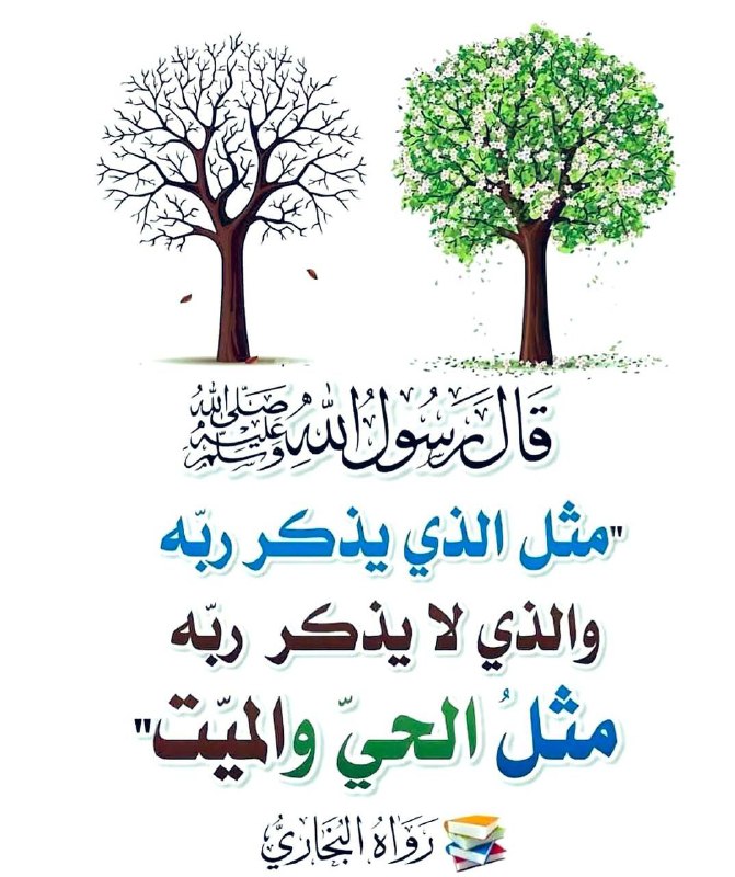 قرآني نبض حياتي ?