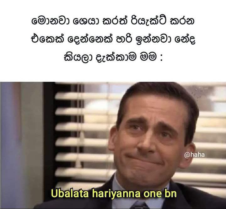 Ubalata hariyannoni***😒***