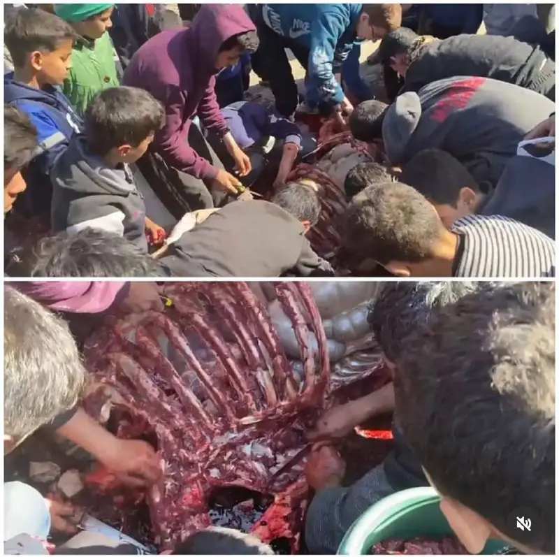 **هؤلاء الأطفال في غزة يجتمعون حول …