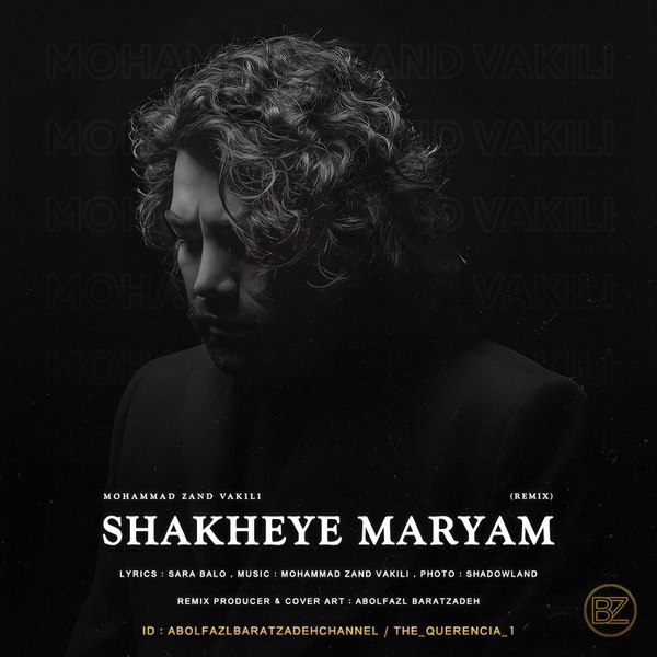 Abolfazl Baratzadeh - Shakheye Maryam (Remix)