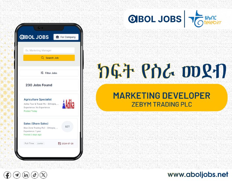 **Marketing Developer