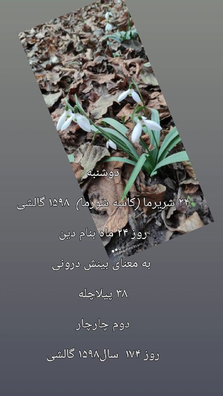 دوشنبه