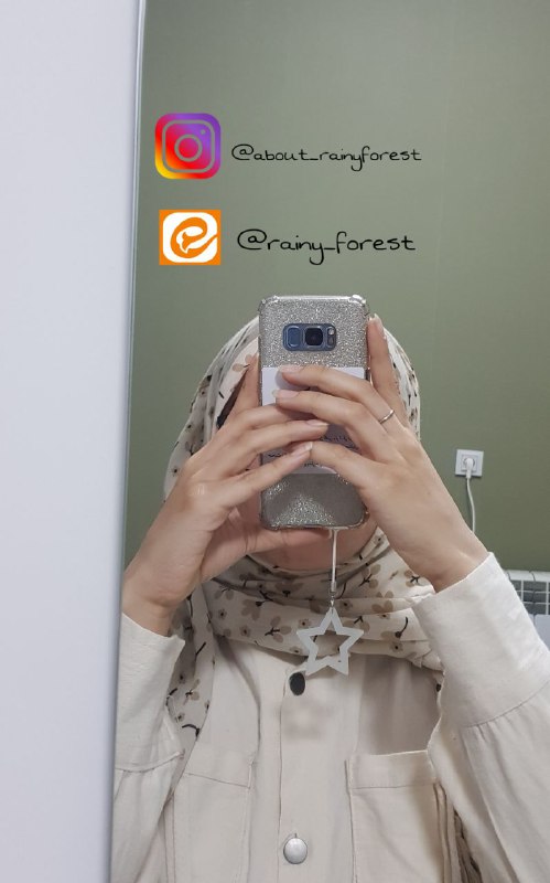 جنگل بارانی~