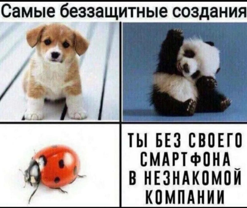 Теперь неловких пауз не существует***🤚***