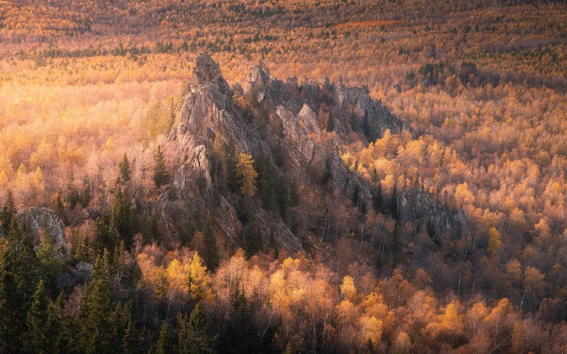 Смотрел в эту сторону лет шесть, …