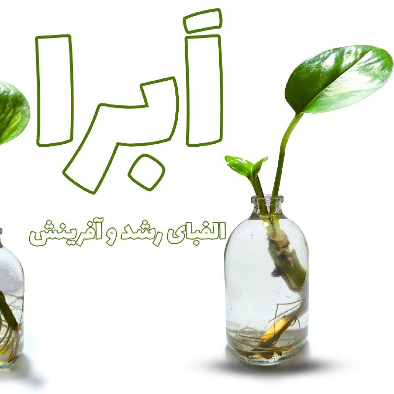 در مسیر زندگی، هر فرد داستان …