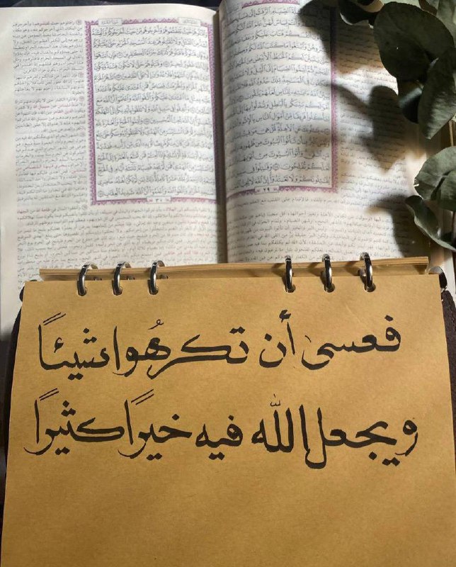 آية وتفسير :