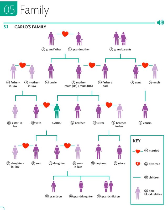 ***💠*****Topical Vocabulary: Family**