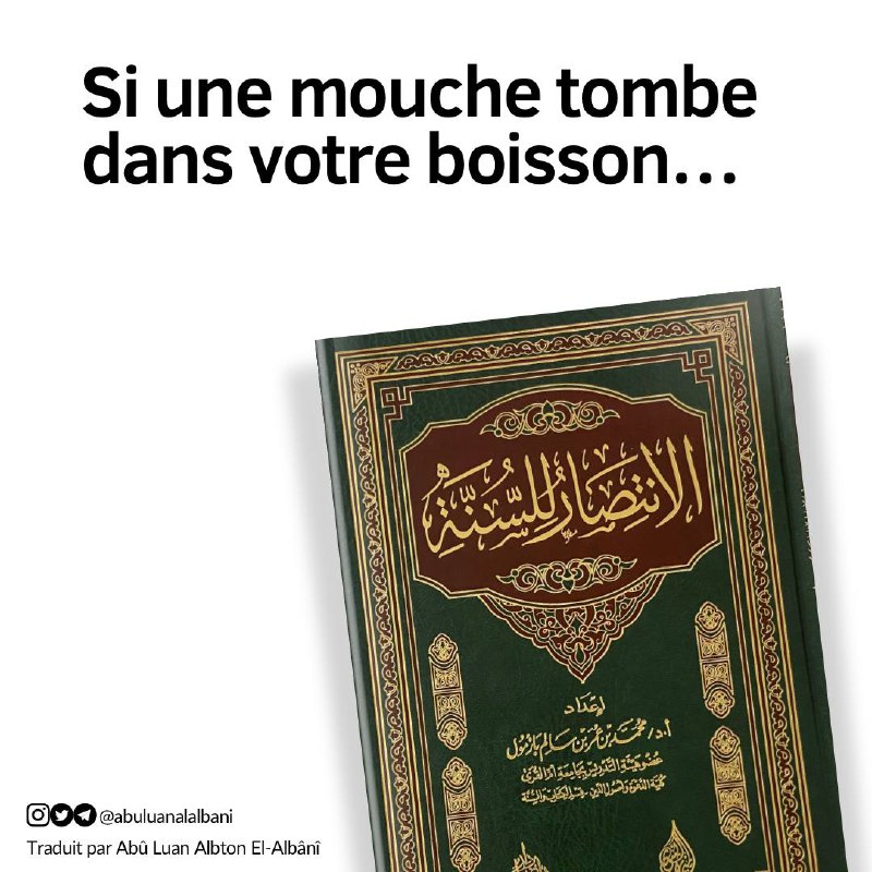 Si une mouche tombe dans votre …