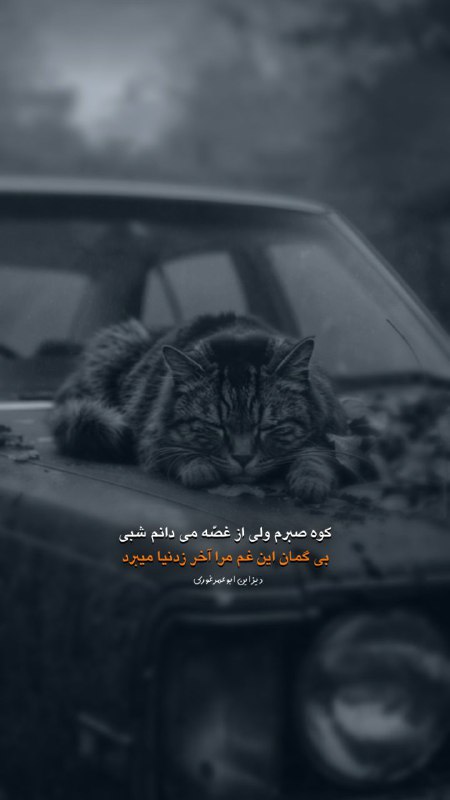 کوه صبرم ولی از غصّه می …