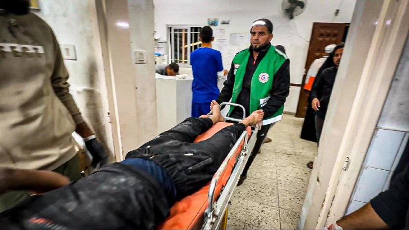 المصممون الأحرار