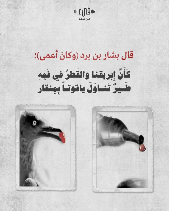 أبيات شعرٍ