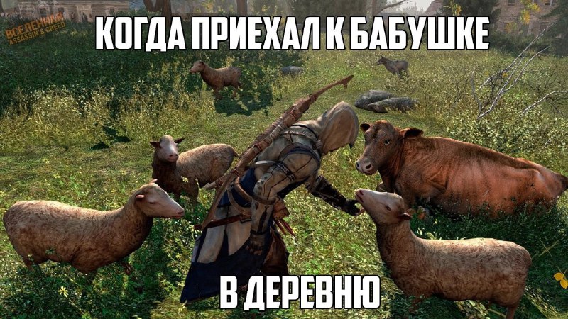 Мир Assassin's Creed