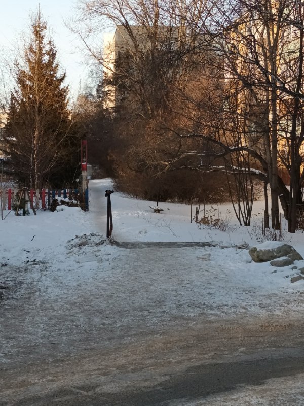 Сообщество Академгородка | Новосибирск