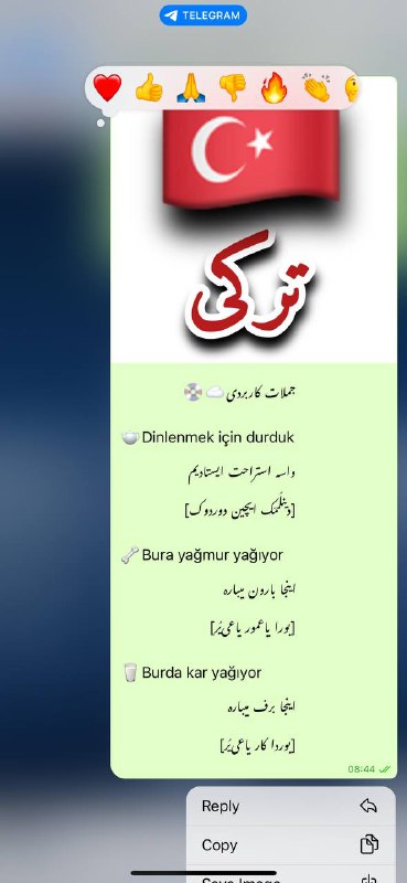 اکادمی تخصصی استاد ظریفی