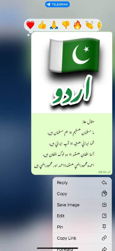 اکادمی تخصصی استاد ظریفی
