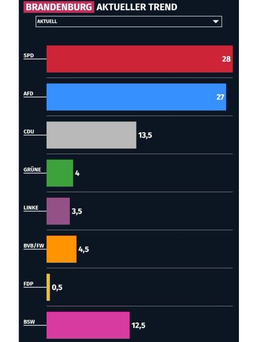 **LETZTE WAHLPROGNOSEFÜR BRANDENBURG*****💥***