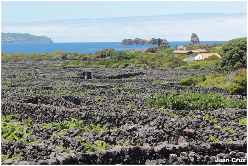 Ilha do Pico.