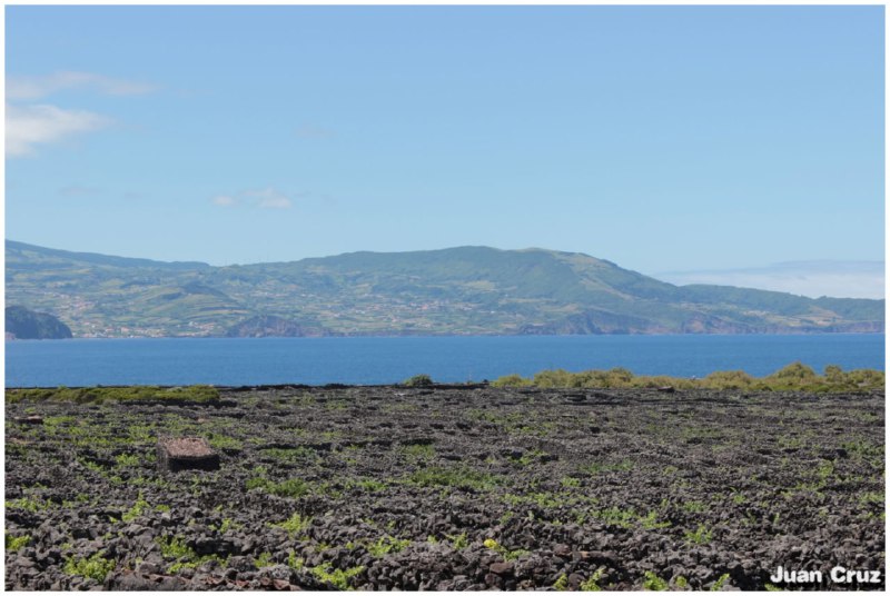 Ilha do Pico.
