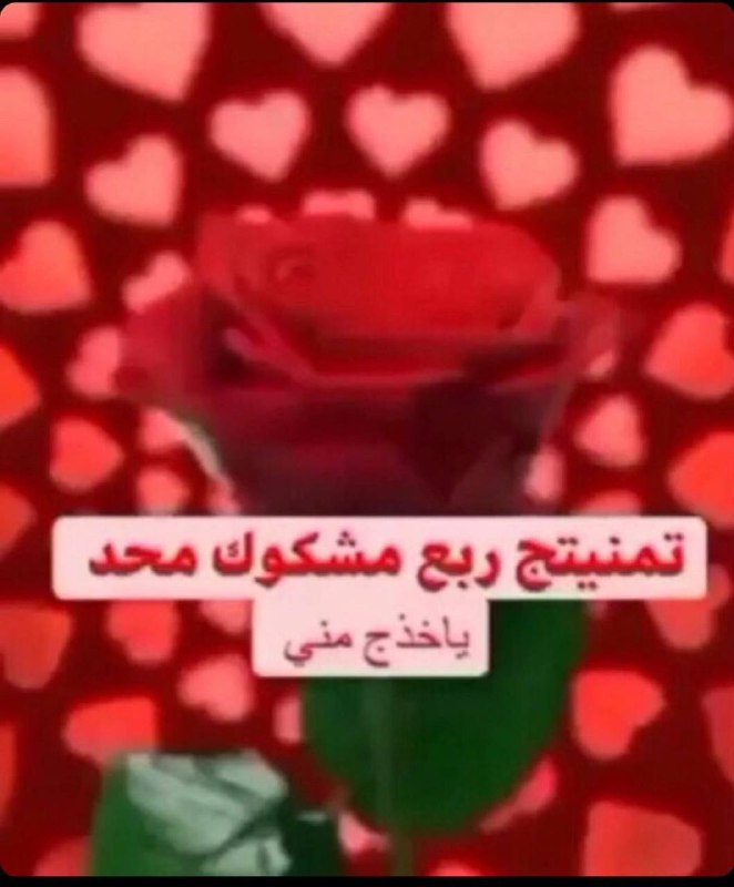 اكرلج only