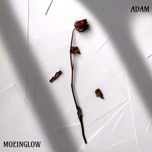 Gole Parpar (Ft adam) by Moein …
