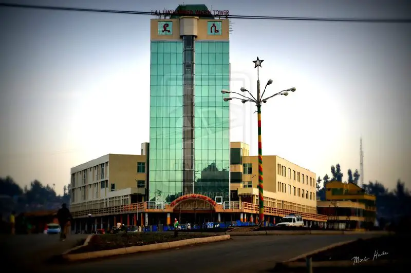 Addis Maleda - አዲስ ማለዳ