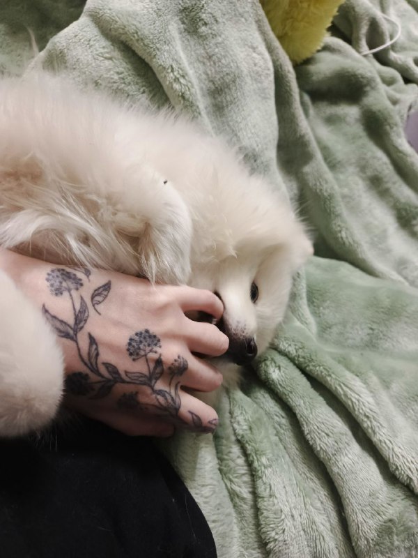 - Не кусай руку, которая тебя …