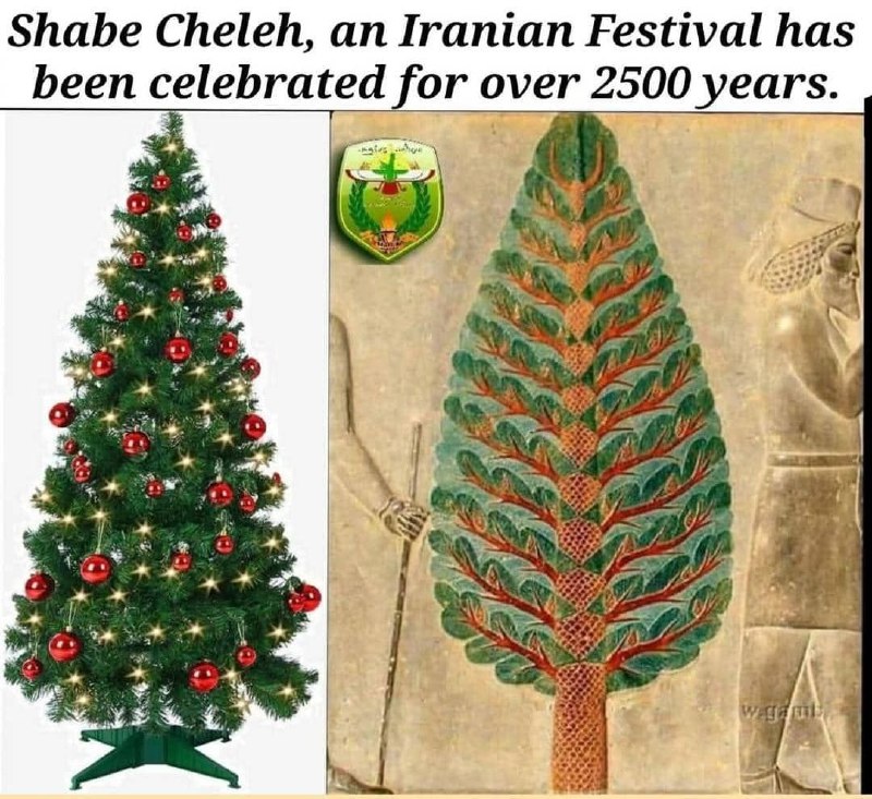 «بی‌گمان درخت کریسمس ریشه در فرهنگ …